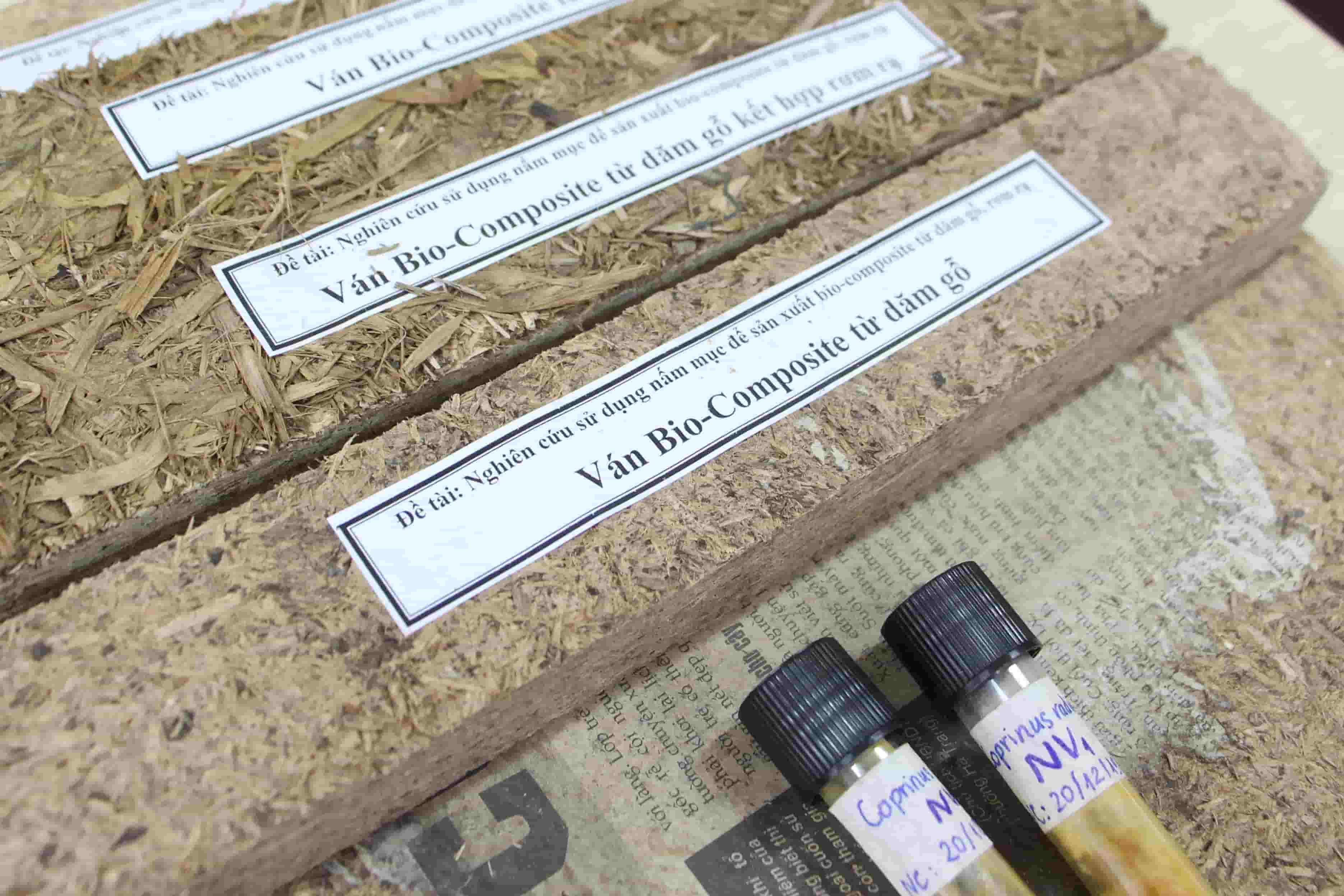 Thẩm định sản phẩm của đề tài KHCN cấp nhà nước “Nghiên cứu sử dụng nấm mục để sản xuất bio-composite từ dăm gỗ, rơm và rạ”.