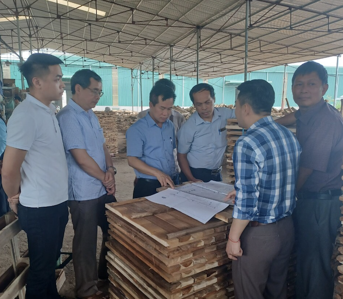 Kiểm tra định kỳ Dự án “Xây dựng mô hình công nghệ và thiết bị tiên tiến sản xuất ván ghép thanh xuất khẩu và nội tiêu tại tỉnh Tuyên Quang”
